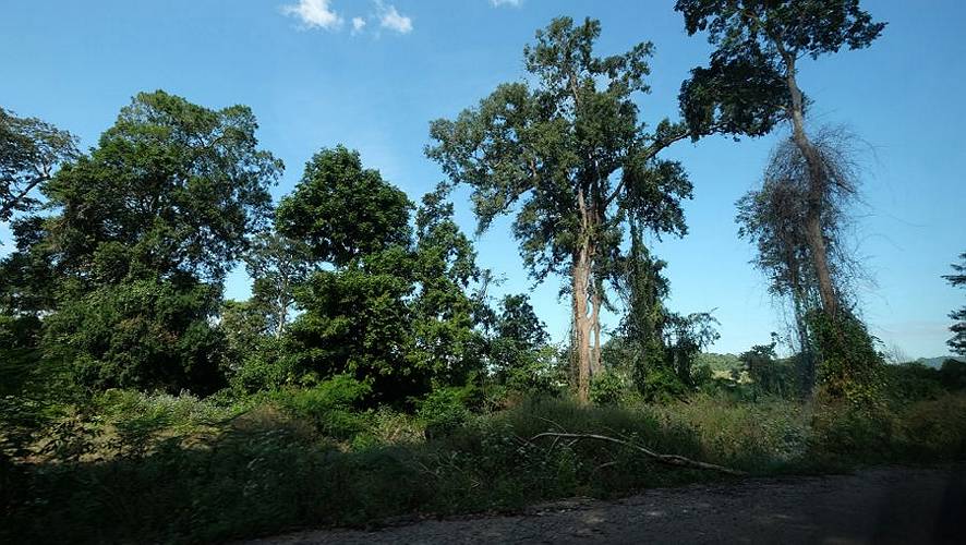 15-phnom kulen-05